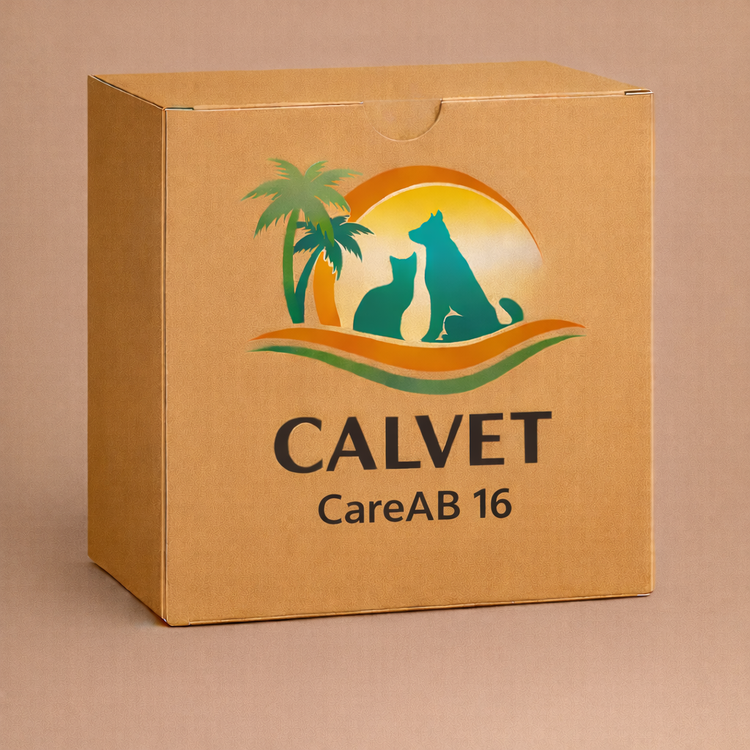 CareAB 16