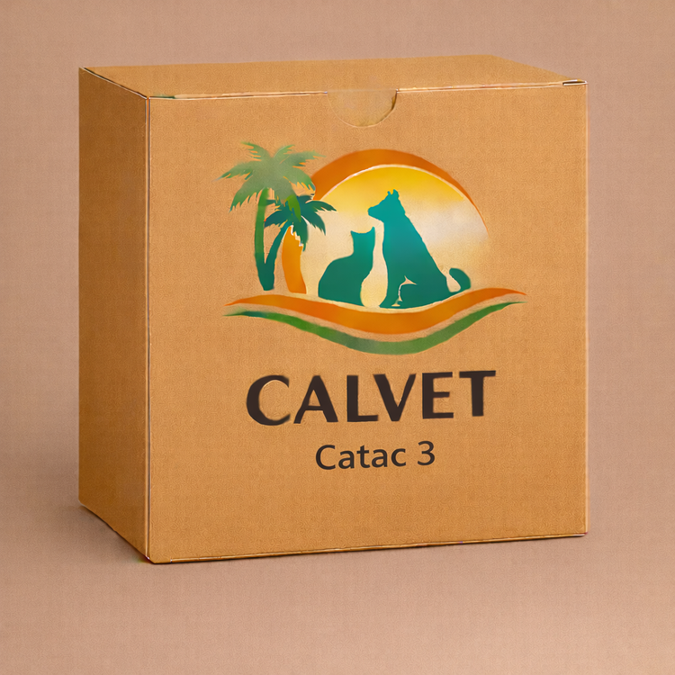 Catac 3