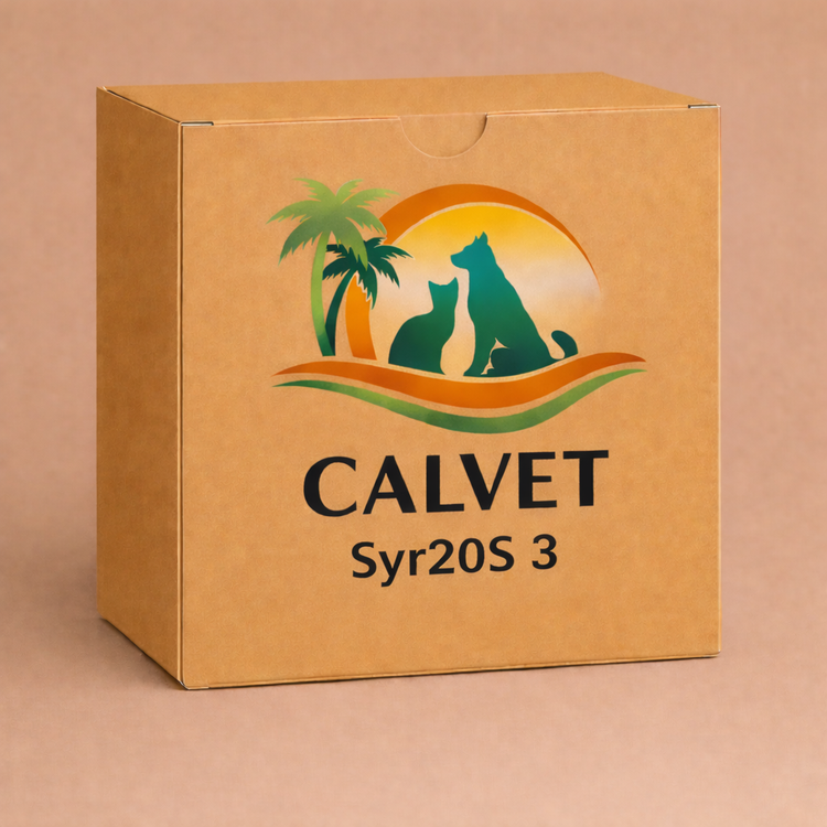 Syr20S 3