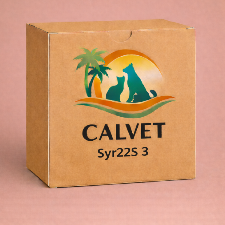 Syr22S 3