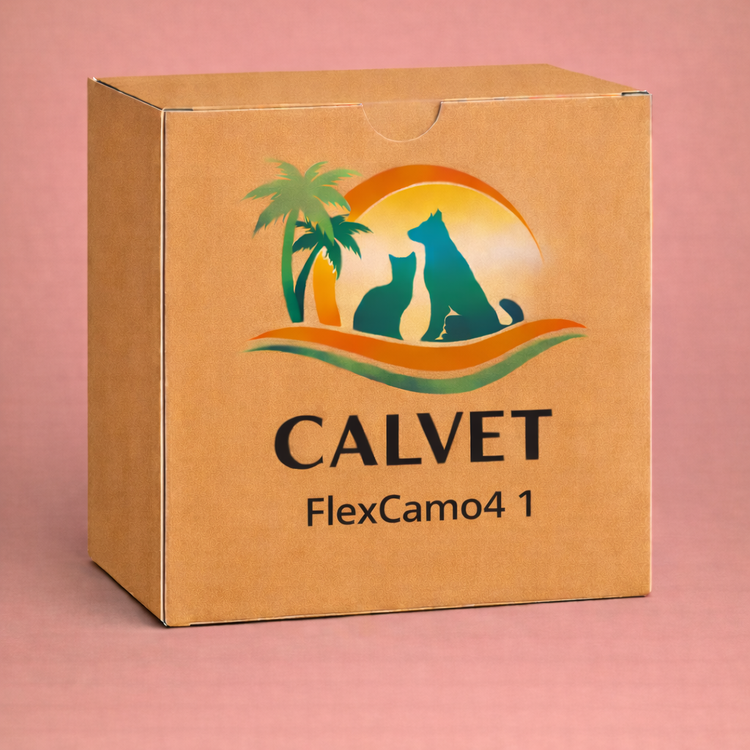FlexCamo4 1