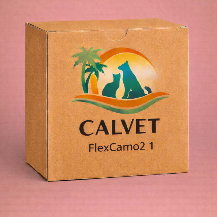 FlexCamo2 1