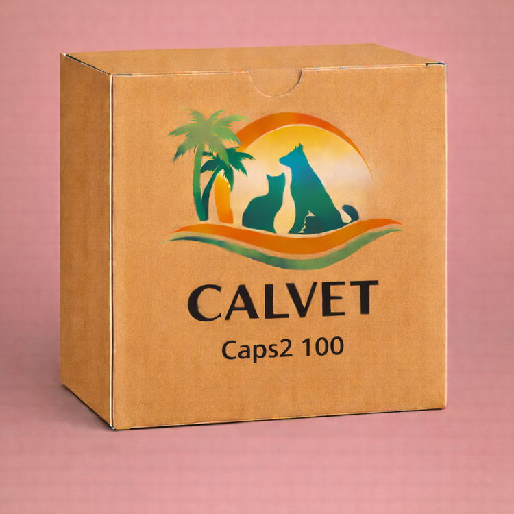Caps2 100