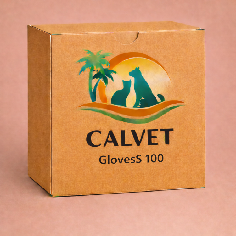GlovesS 100