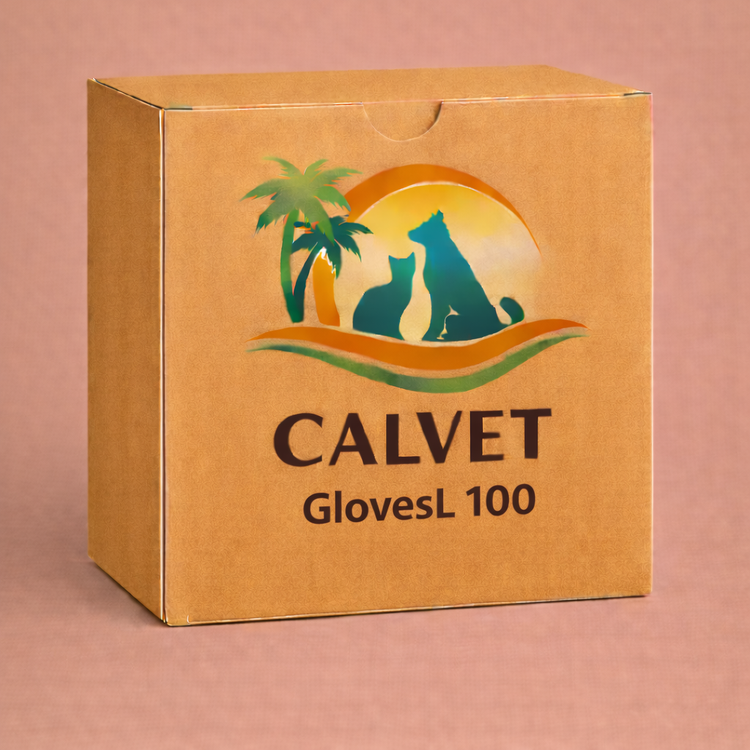 GlovesL 100