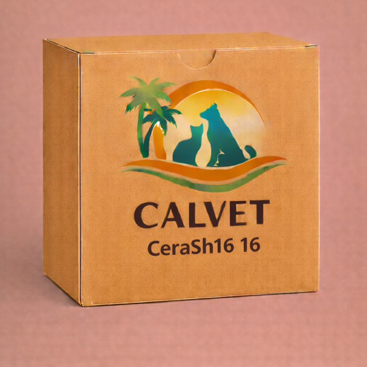 CeraSh16 16