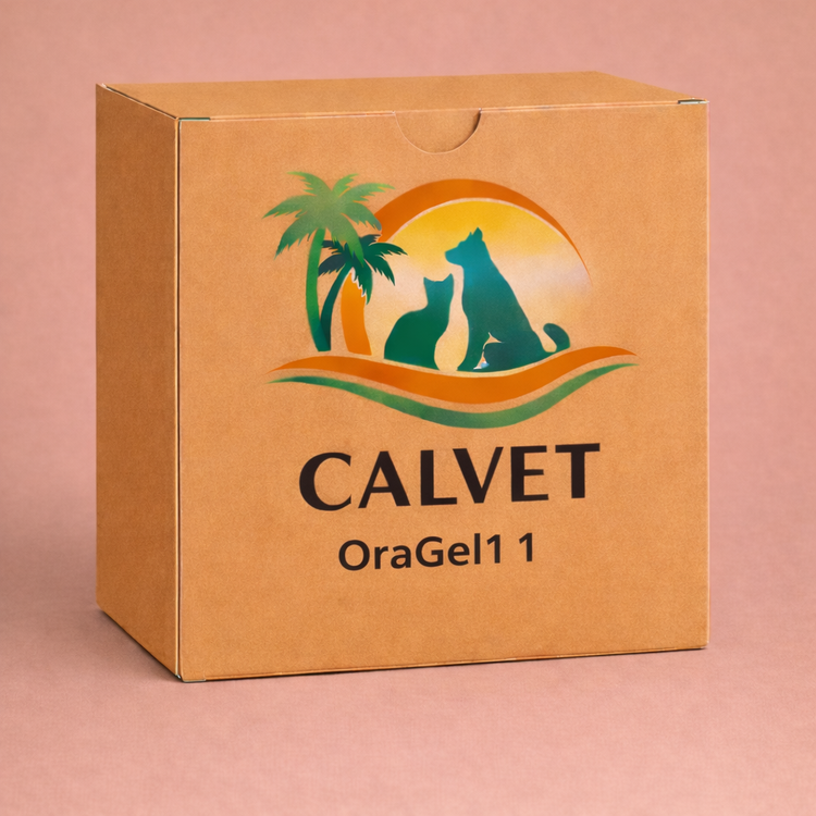 OraGel1 1