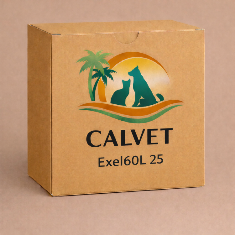 Exel60L 25