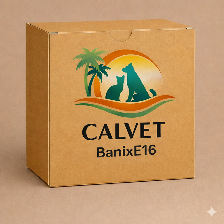 BanixE16 16
