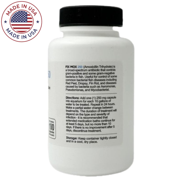 Fish Amoxicillin - Amoxicillin 250mg 100 Capsules | eFishAntibiotics