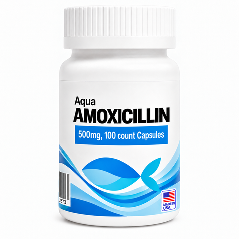 Aquarium Amoxicillin 250mg 100 capsules broad-spectrum fish antibiotic
