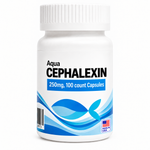 Aquarium Cephalexin 250mg bottle containing 100 fish antibiotic capsules