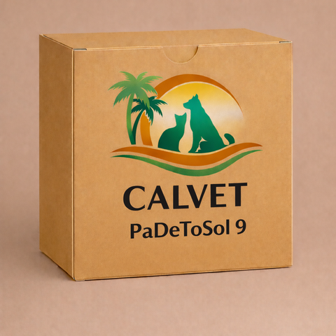 PaDeToSol 9