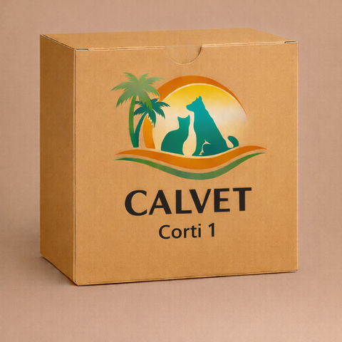 Corti 1
