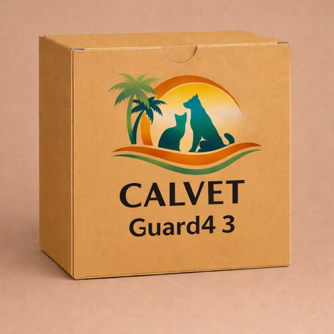 Guard4 3