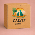Exel12 12