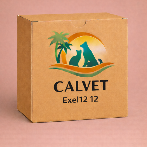 Exel12 12