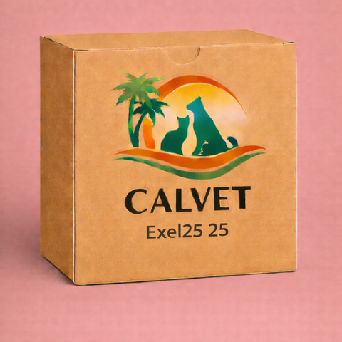Exel25 25