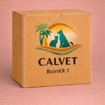 BoinkR 1