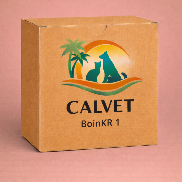 BoinkR 1