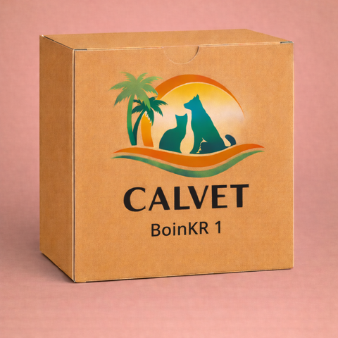 BoinkR 1