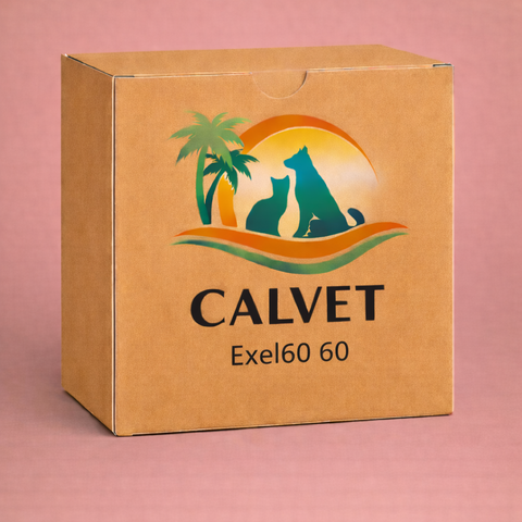 Exel60 60