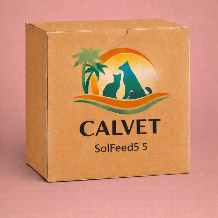 SolFeed5 5