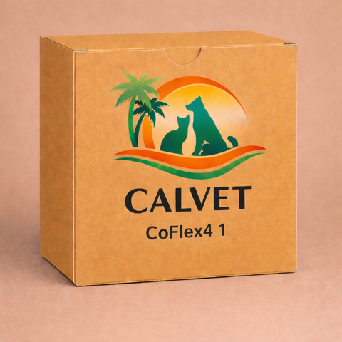 CoFlex4 1