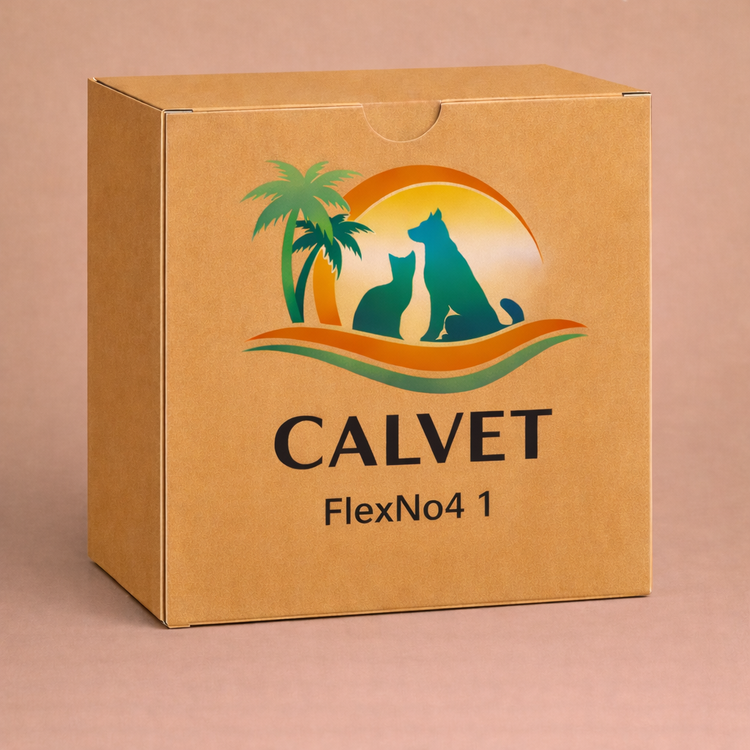 FlexNo4 1
