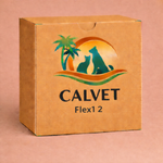 Flex1 2