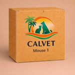 Mouse 1