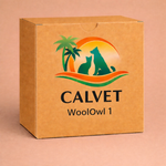 WoolOwl 1