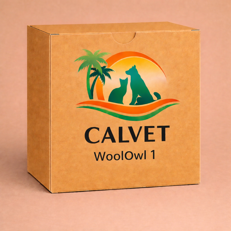 WoolOwl 1