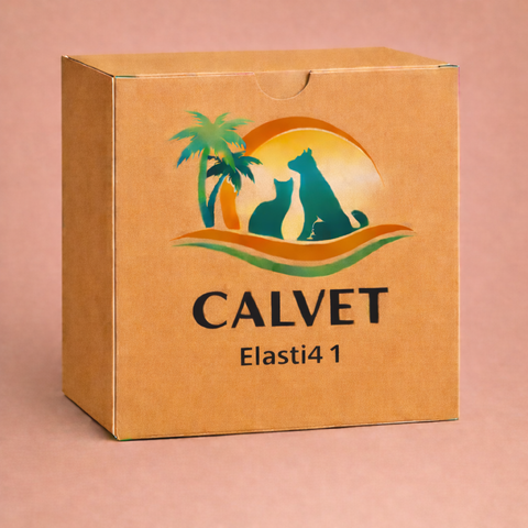 Elastik4 1