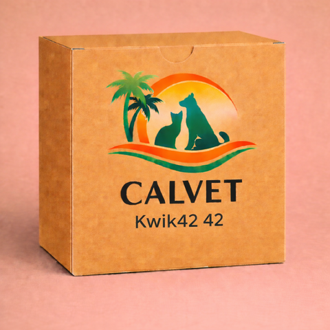 Kwik42 42