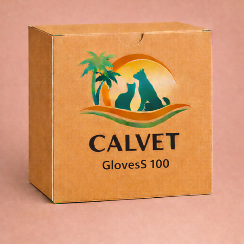 GlovesS 100