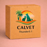 ThunderS 1