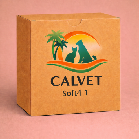 Soft4 1