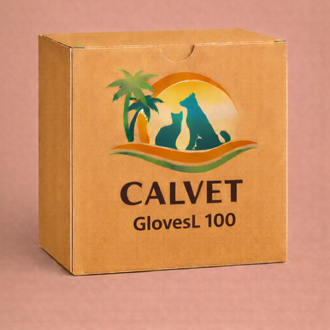 GlovesL 100