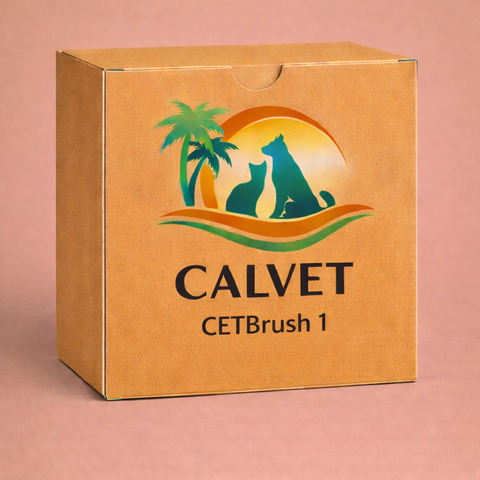 CETBrush 1
