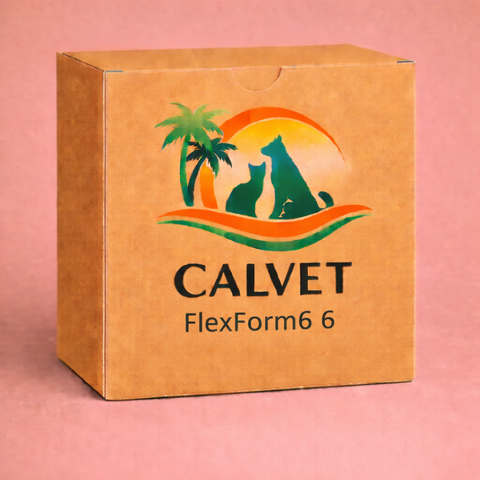 FlexForm6 6