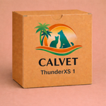 ThunderXS 1