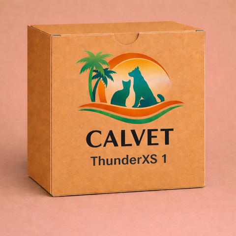 ThunderXS 1