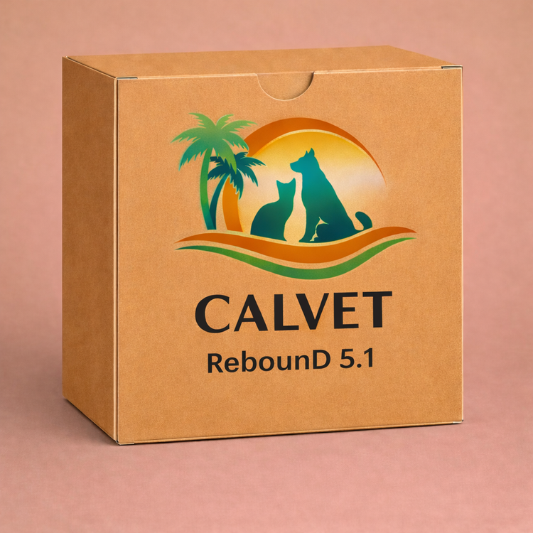 ReboundD 5.1