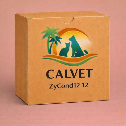 ZyCond12 12