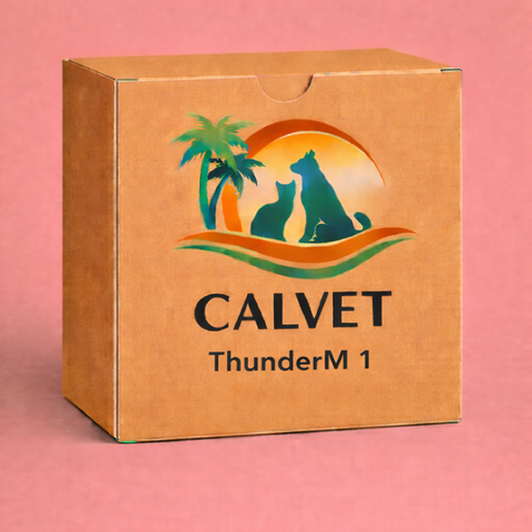 ThunderM 1