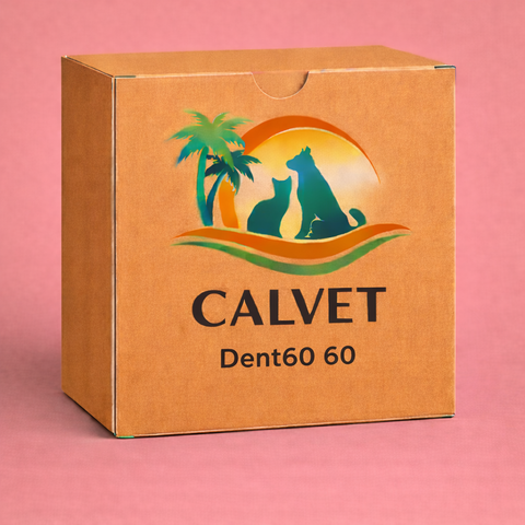 Dent60 60