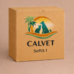 SoftS 1