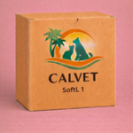 SoftL 1