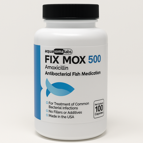 Fish Mox 500mg 100 Capsules
